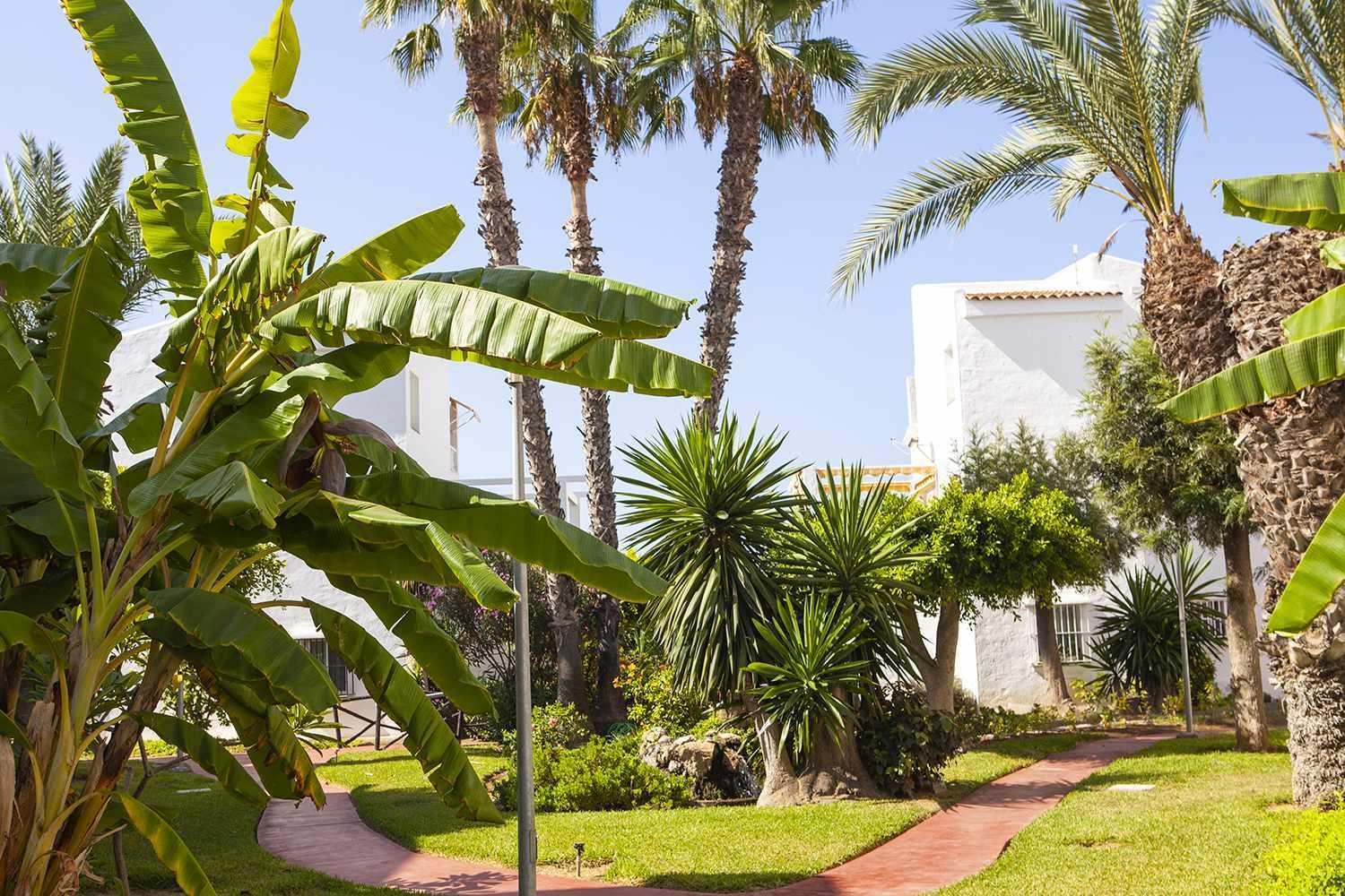 A 100M De Playa Piscina Y Todos Los Servicios Apartman Torrox Kültér fotó